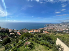 Palmeira`s Village